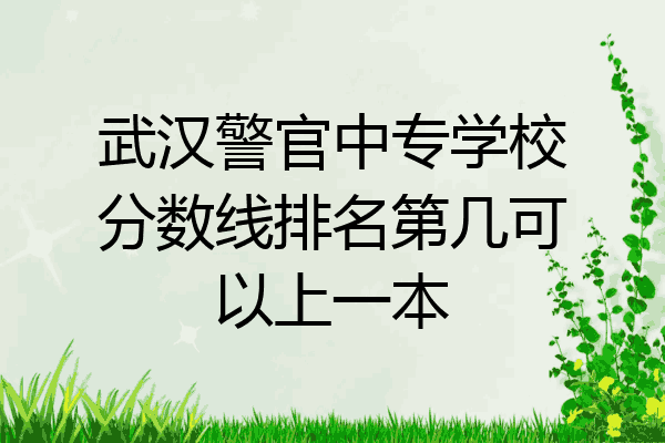 武汉警官中专学校分数线排名第几可以上一本