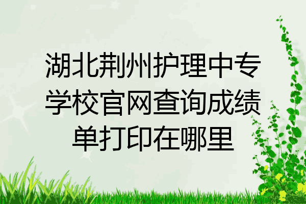 湖北荆州护理中专学校官网查询成绩单打印在哪里
