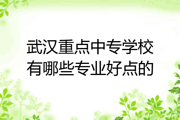 武汉重点中专学校有哪些专业好点的