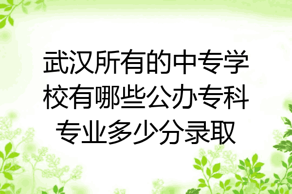 武汉所有的中专学校有哪些公办专科专业多少分录取