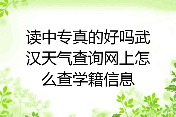 读中专真的好吗武汉天气查询网上怎么查学籍信息