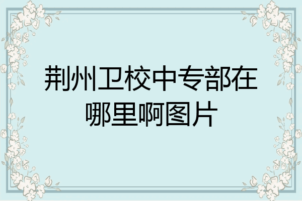 荆州卫校中专部在哪里啊图片