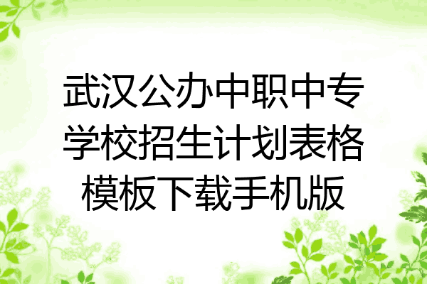 武汉公办中职中专学校招生计划表格模板下载手机版