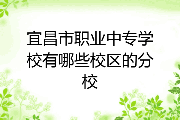 宜昌市职业中专学校有哪些校区的分校