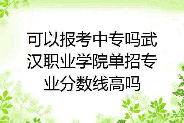 可以报考中专吗武汉职业学院单招专业分数线高吗