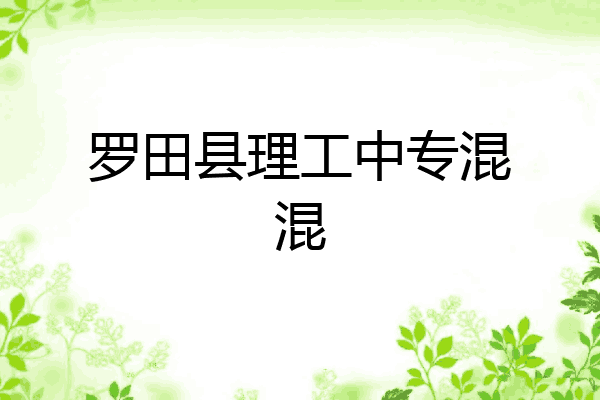 罗田县理工中专混混