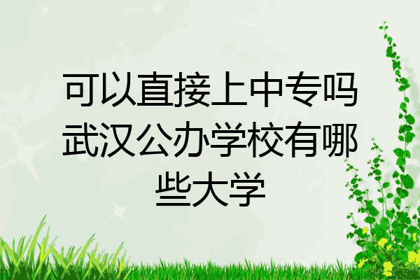 可以直接上中专吗武汉公办学校有哪些大学