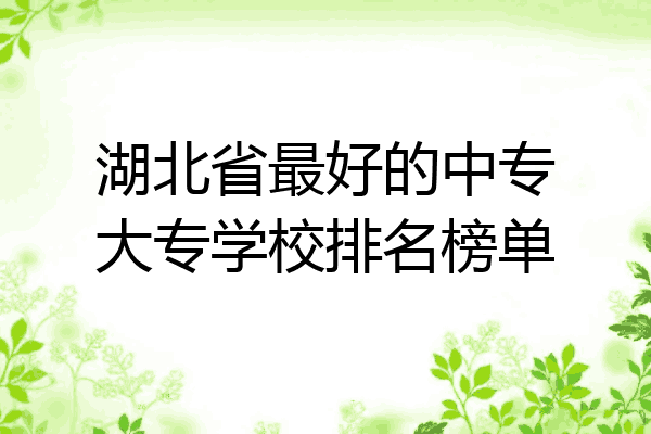 湖北省最好的中专大专学校排名榜单