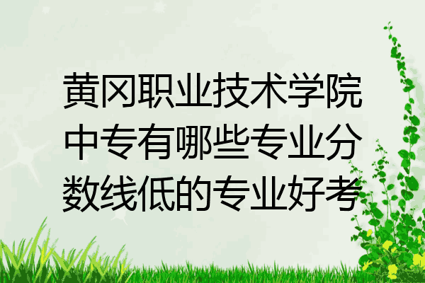 黄冈职业技术学院中专有哪些专业分数线低的专业好考