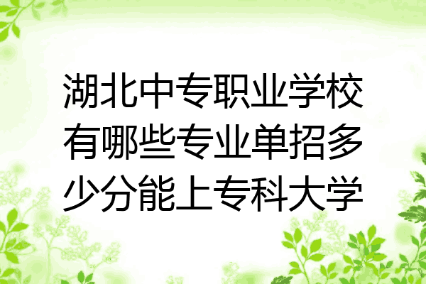 湖北中专职业学校有哪些专业单招多少分能上专科大学