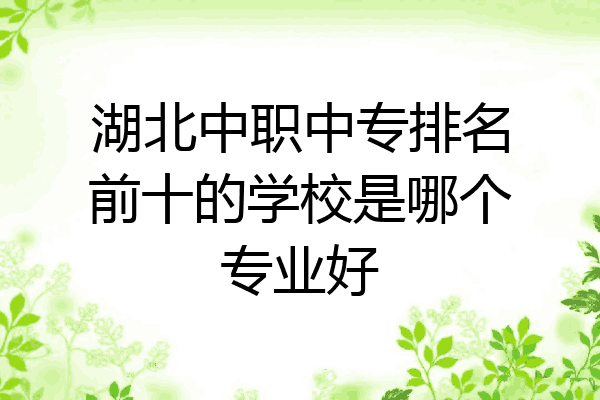 湖北中职中专排名前十的学校是哪个专业好