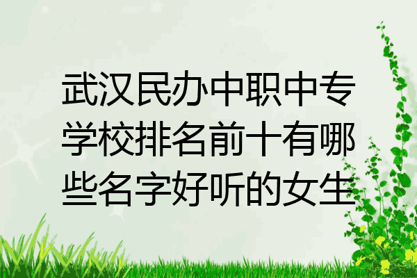 武汉民办中职中专学校排名前十有哪些名字好听的女生