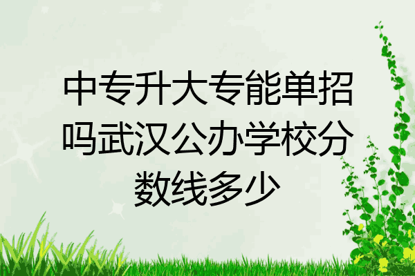 中专升大专能单招吗武汉公办学校分数线多少