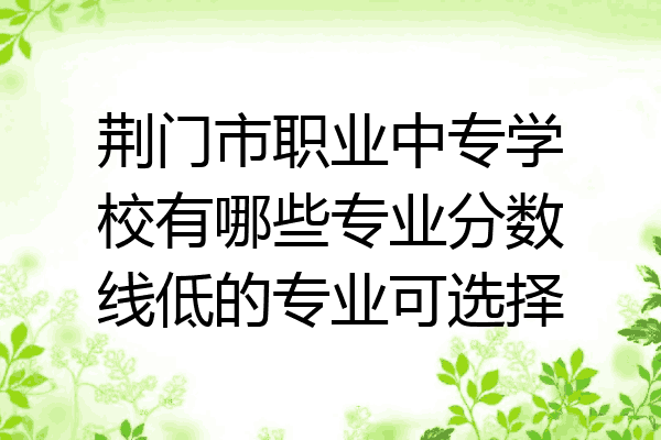 荆门市职业中专学校有哪些专业分数线低的专业可选择