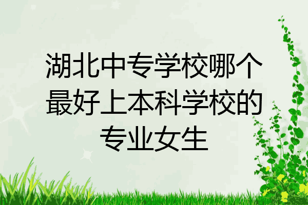 湖北中专学校哪个最好上本科学校的专业女生