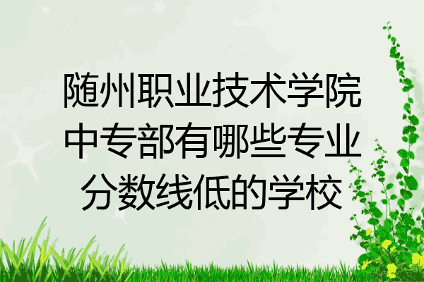 随州职业技术学院中专部有哪些专业分数线低的学校