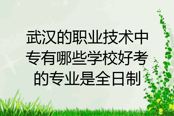 武汉的职业技术中专有哪些学校好考的专业是全日制