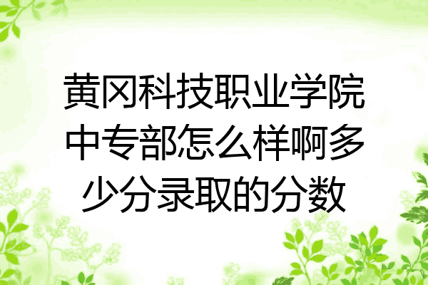 黄冈科技职业学院中专部怎么样啊多少分录取的分数