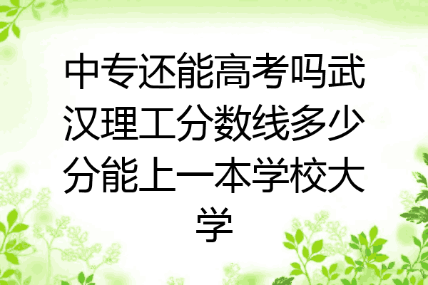 中专还能高考吗武汉理工分数线多少分能上一本学校大学