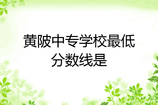 黄陂中专学校最低分数线是