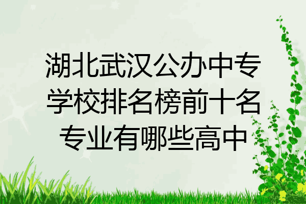 湖北武汉公办中专学校排名榜前十名专业有哪些高中