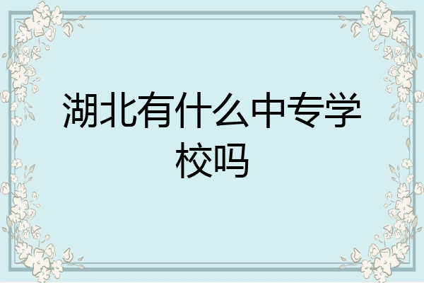 湖北有什么中专学校吗