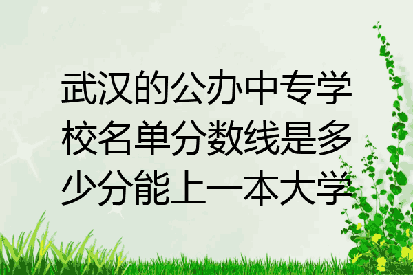 武汉的公办中专学校名单分数线是多少分能上一本大学