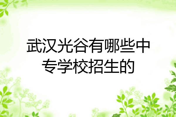 武汉光谷有哪些中专学校招生的