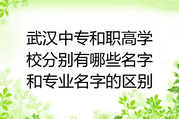 武汉中专和职高学校分别有哪些名字和专业名字的区别