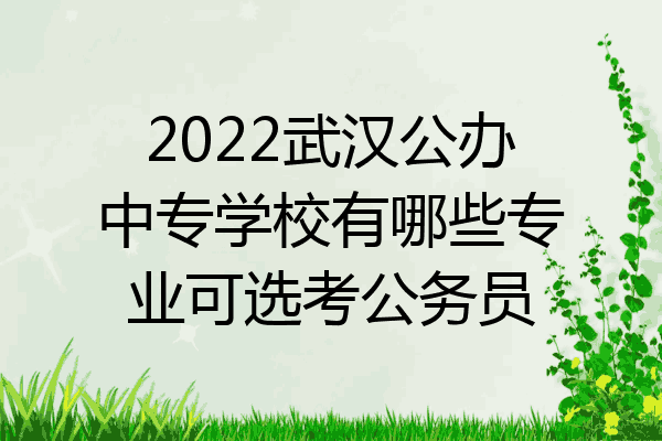 2022武汉公办中专学校有哪些专业可选考公务员