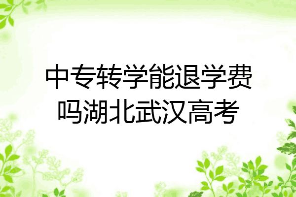 中专转学能退学费吗湖北武汉高考