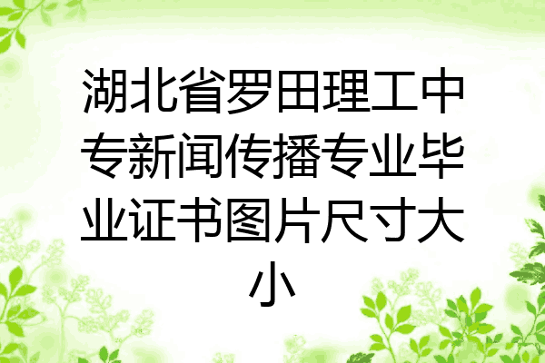 湖北省罗田理工中专新闻传播专业毕业证书图片尺寸大小