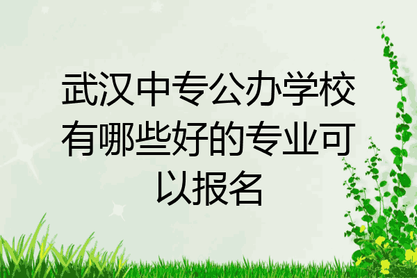 武汉中专公办学校有哪些好的专业可以报名