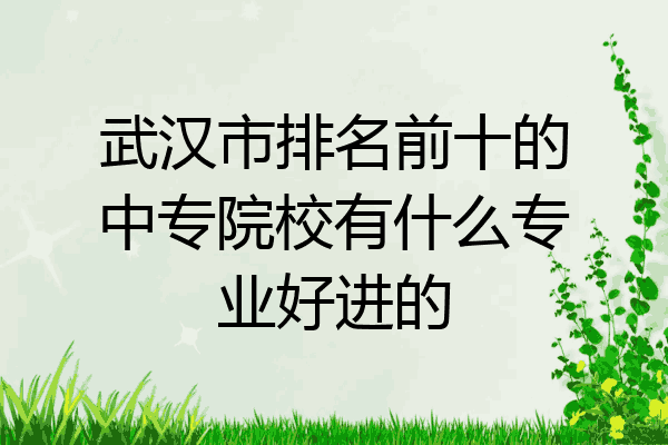 武汉市排名前十的中专院校有什么专业好进的