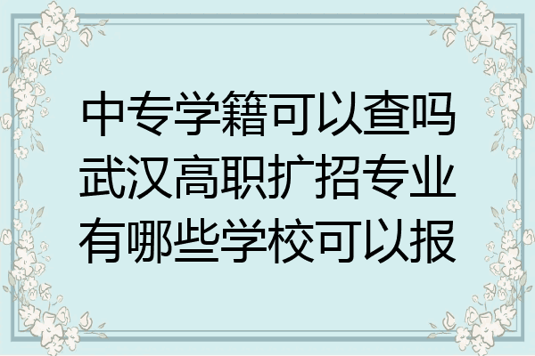 中专学籍可以查吗武汉高职扩招专业有哪些学校可以报