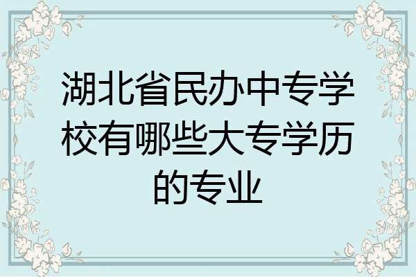湖北省民办中专学校有哪些大专学历的专业