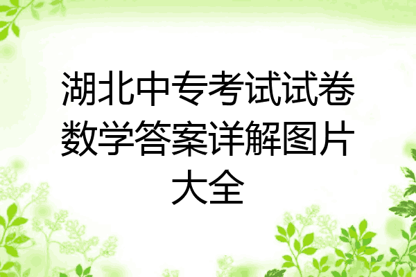 湖北中专考试试卷数学答案详解图片大全