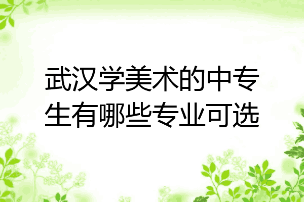 武汉学美术的中专生有哪些专业可选