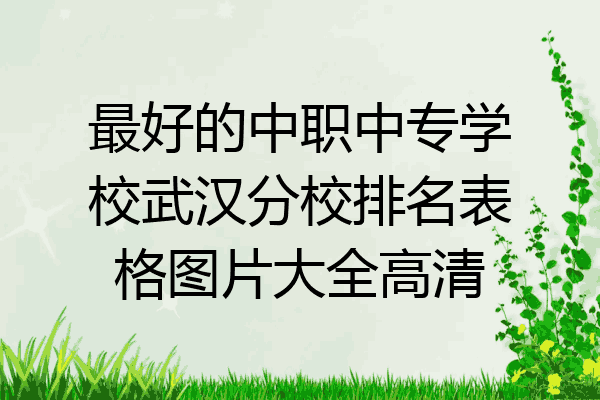 最好的中职中专学校武汉分校排名表格图片大全高清
