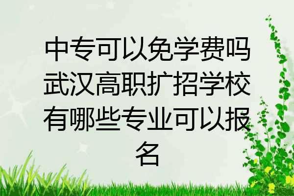 中专可以免学费吗武汉高职扩招学校有哪些专业可以报名