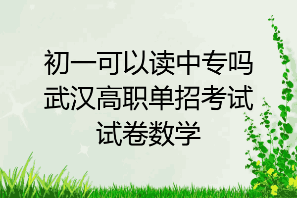 初一可以读中专吗武汉高职单招考试试卷数学