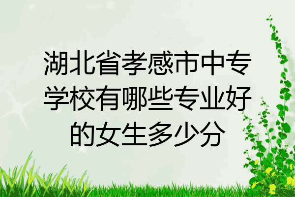 湖北省孝感市中专学校有哪些专业好的女生多少分