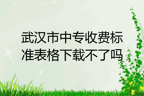 武汉市中专收费标准表格下载不了吗