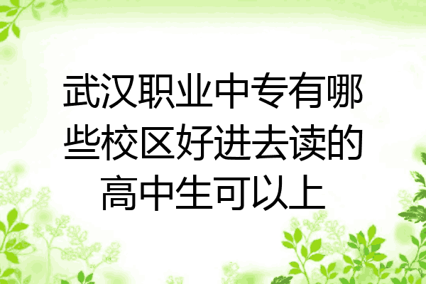 武汉职业中专有哪些校区好进去读的高中生可以上
