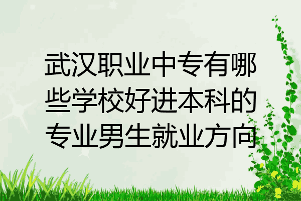 武汉职业中专有哪些学校好进本科的专业男生就业方向
