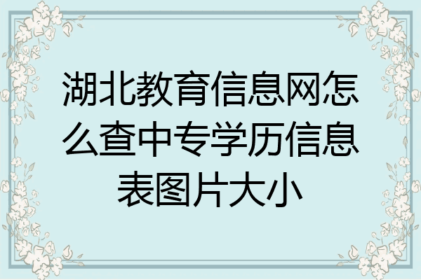 湖北教育信息网怎么查中专学历信息表图片大小