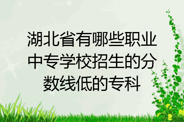湖北省有哪些职业中专学校招生的分数线低的专科