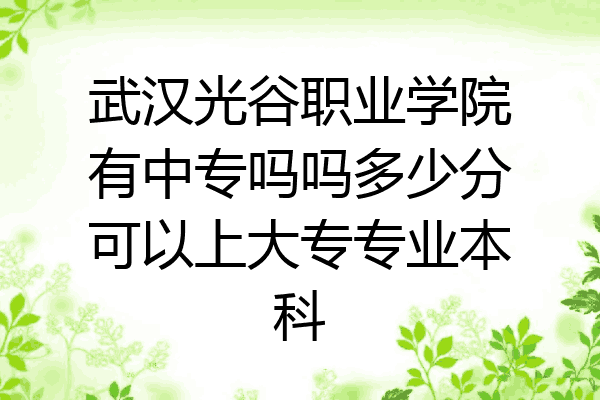 武汉光谷职业学院有中专吗吗多少分可以上大专专业本科