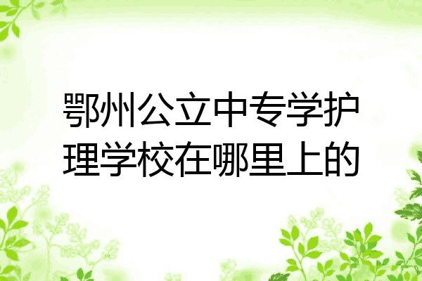 鄂州公立中专学护理学校在哪里上的