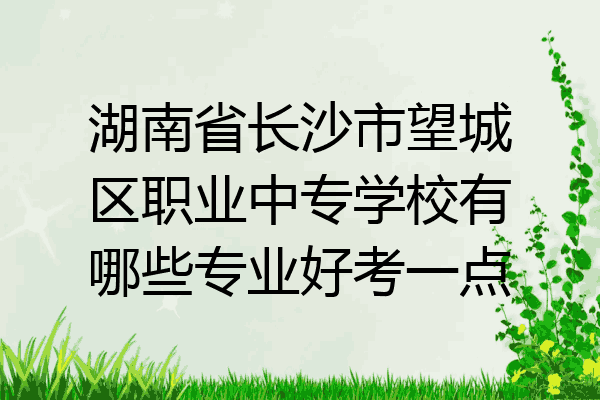 湖南省长沙市望城区职业中专学校有哪些专业好考一点